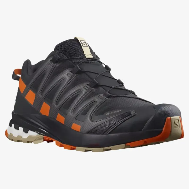 Salomon Men's XA Pro 3D V8 GTX Hiking Shoe